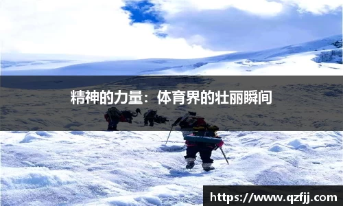 星空综合体育官网
